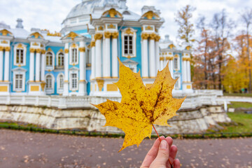 Autumn maple leaf on the background of the Hermitage Building in autumn Catherine Park, Pushkin...