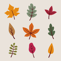 Colorful autumn leaves set in flat style. 