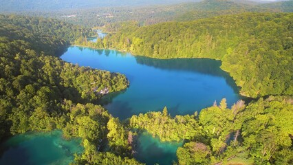 Green Mountain coniferous forest with deep blue lake. Dense wood landscape in summer to early autumn sunny morning. Clear fresh azure water.