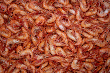 Camarones (Galician prawns)