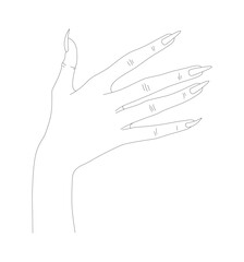 Women Hand in Thin Line Art. Minimalistic and Elegant Hand-Drawn Manicure Design for Female Beauty