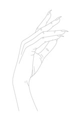 Women Hand in Thin Line Art. Minimalistic and Elegant Hand-Drawn Manicure Design for Female Beauty
