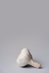 white garlic on a gray background