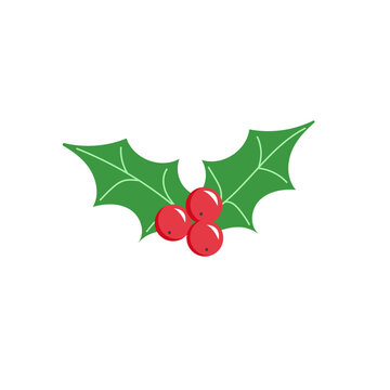 Holly berry icon. Green leaves and red berries mistletoe. Symbol of Christmas. Isolated on white background