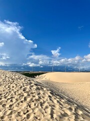 Fototapeta premium 무더운 사막