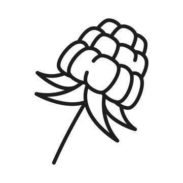 recommend clip art: Raw loganberry isolated organic raspberry berry line icon. Vector dewberry healthy summer fruit, natural dessert. Juicy raspberry vegetarian food