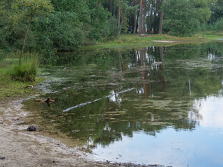 Haaksbergen in den Niederlanden
