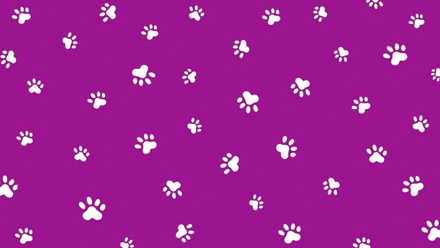 Purple background with dog paw prints. Looped motion graphics. White silhouette pattern.