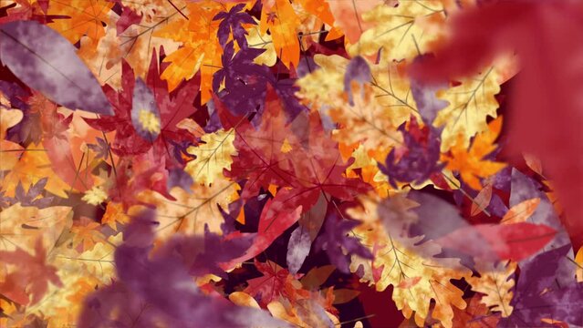 Abstract painted autumn color background screensaver with yellow and purple fallen tree leaves. Looped motion graphics.