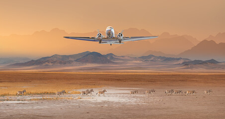 Old metallic propeller airplane in the sky, sunset clouds in the background - Amazing Zebras running across the African savannah - Etosha National Park, Namibia