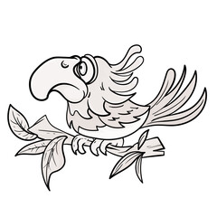 macaw parrot Toucan sits on branch coloring page. Black and white vector illustration of nature with cute birds for colouring book