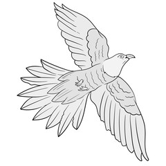 Bird flying hand drawn black and white outline vector cartoon illustration for a coloring book page.