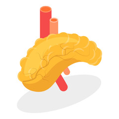 3D Isometric Flat Vector Illustration of Digestive System Anatomy, Human Internal Organs. Item 1