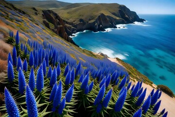 Pride of Madeira flowering drought tolerant plant in full bloom. Echium candicans. California invasive plant. Blurred ocean water and coastline on horizon - obrazy, fototapety, plakaty