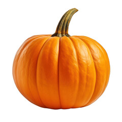 Obraz premium pumpkin isolated