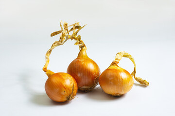 An onion on a white background. Onions grown by an environmentally friendly method