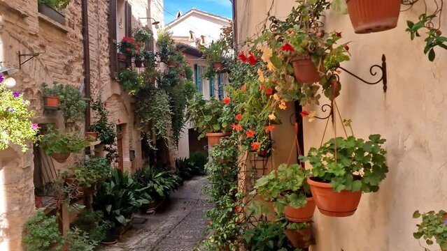 Empty romantic Italian street with flower pots 4K. Quiet medieval village alley. Scenic floral decoration in Spello, Umbria. Traditional Italy travel footage