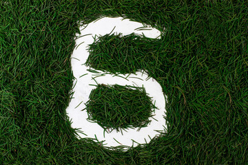 Inscription 6 written among spruce needles. A banner. Background of spruce needles. Christmas Card