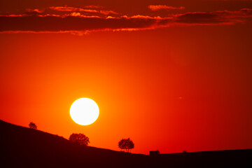 Sunset in the mountains. The setting sun on the red sky at the contour border of the mountain with sparse trees. Copy space.