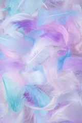 Fototapeta na wymiar Colorful feather background, top view.