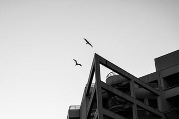 building under construction