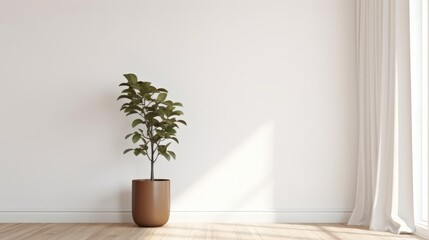 Plant against a white wall mockup White wall mockup with brown curtain plant and wood floor