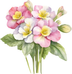 A close-up watercolor drawing of a bouquet of Primrose flowers. AI-Generated.