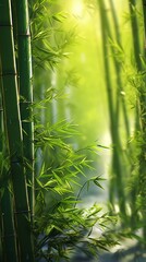 a close-up of some bamboo