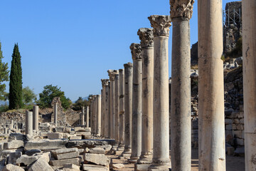 The top of a column is a capital of the Corinthian order on the ruins of the ancient city of Ephesus