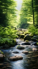 Obraz premium a river with rocks and plants