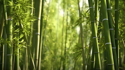 Foto op Plexiglas a close-up of some bamboo © KWY