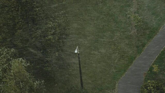 Snow whirlwind with strong wind flies into city yard with green trees. Plant branches bend due to hurricane winds. Extreme weather, snow on summer day, abnormal natural phenomena.