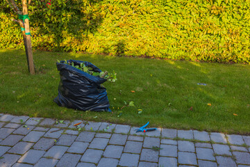 Close-up view of plastic bag with trimmed branches of apple tree in autumn garden. Sweden.