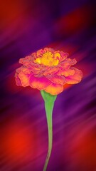 Fototapeta premium Beautiful background with a flower. Collage on a spring theme. Light toning. Background for a mobile phone screensaver. Avatar for the forum. Design of postcards, posters, business cards