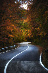 I caldi colori d'autunno nel parco nazionale d'Abruzzo - 659617426