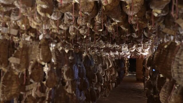 Cellar with ancient culatello hanging