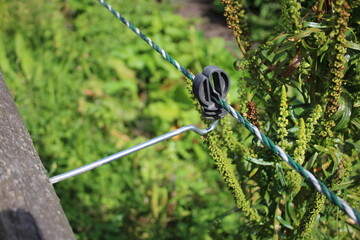 Mounting stand and electrical fence cable used to prevent animals from escaping their enclosure