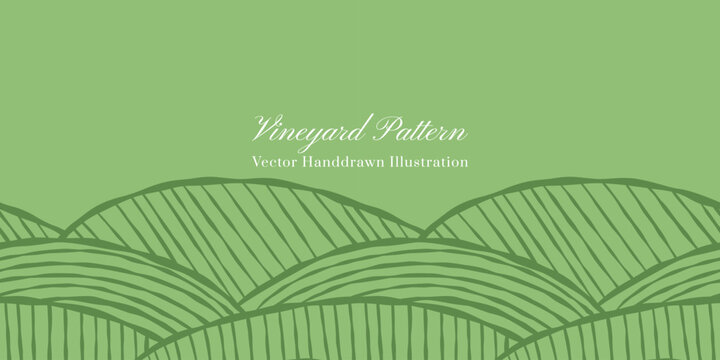 Vineyard seamless vector handdrawn pattern.