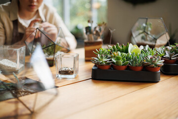 Succulents and terrariums near blurred florist working in floral shop