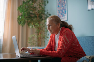 Portrait of a  woman at a laptop on the couch. A  pensioner works, surfs the Internet, communicates at the computer at home
