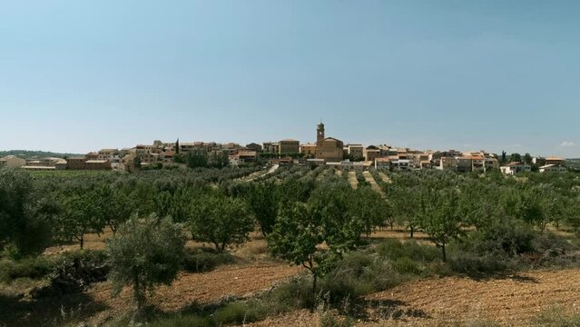 Vista de pueblo en entorno rural con olivos y almendros