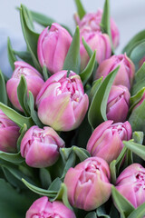 Fototapeta premium Bouquet of tulips