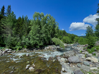 Fototapeta na wymiar A swift stream of clean clear water flowing through stone boulders. Mountain river in the wild. Beautiful view of the picturesque river.
