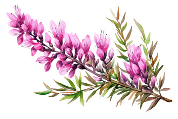 Fototapeta premium Watercolor of Tropical spring floral green leaves and flowers elements isolated on transparent png background, bouquets greeting or wedding card decoration.