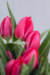 Flowers, tulips, bouquet of tulips