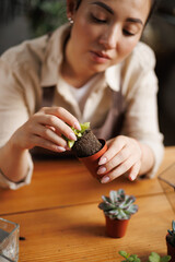Blurred asian florist taking succulent from pot while working in floral shop