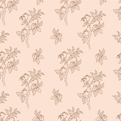 outline seamless pattern Rosehip branch with berries and leaves on light background. Vector Illustration. linear hand drawn for wallpaper, design, textile, packaging, decor