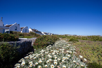 Paternoster, Western Cape, South Africa - 659633622
