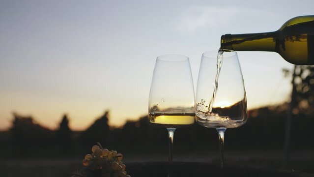Pouring white wine into glasses at dusk outside in the vineyard