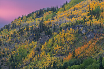 Autumn landscape at dawn of the shoreline of Crystal Lake, San Juan Mountains, Colorado, USA